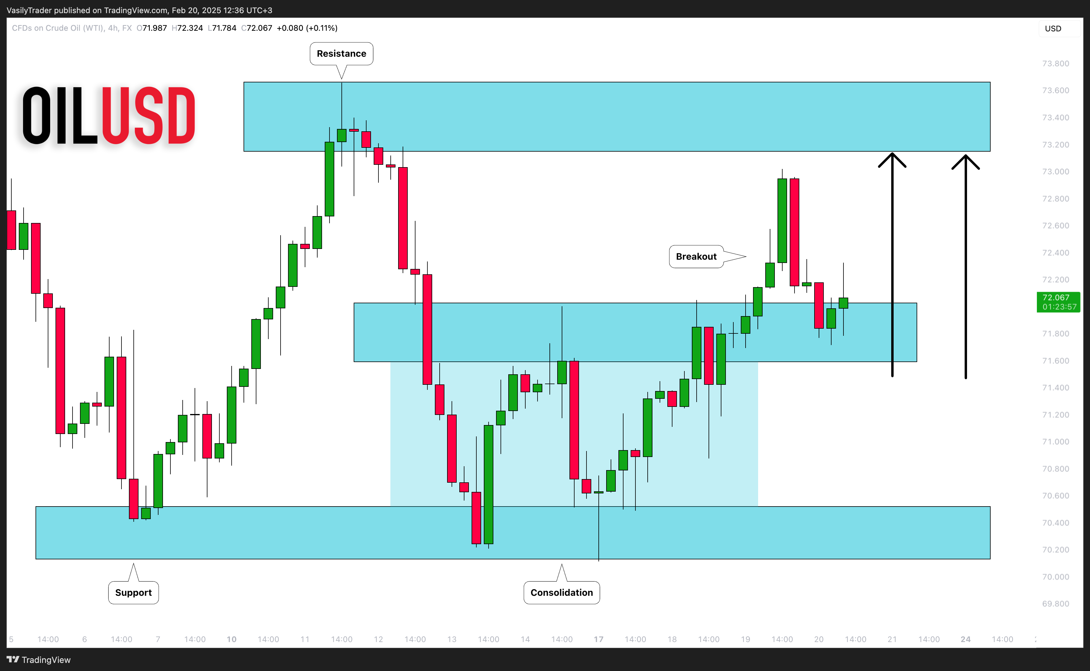 FX:USOIL圖表圖片，作者：VasilyTrader