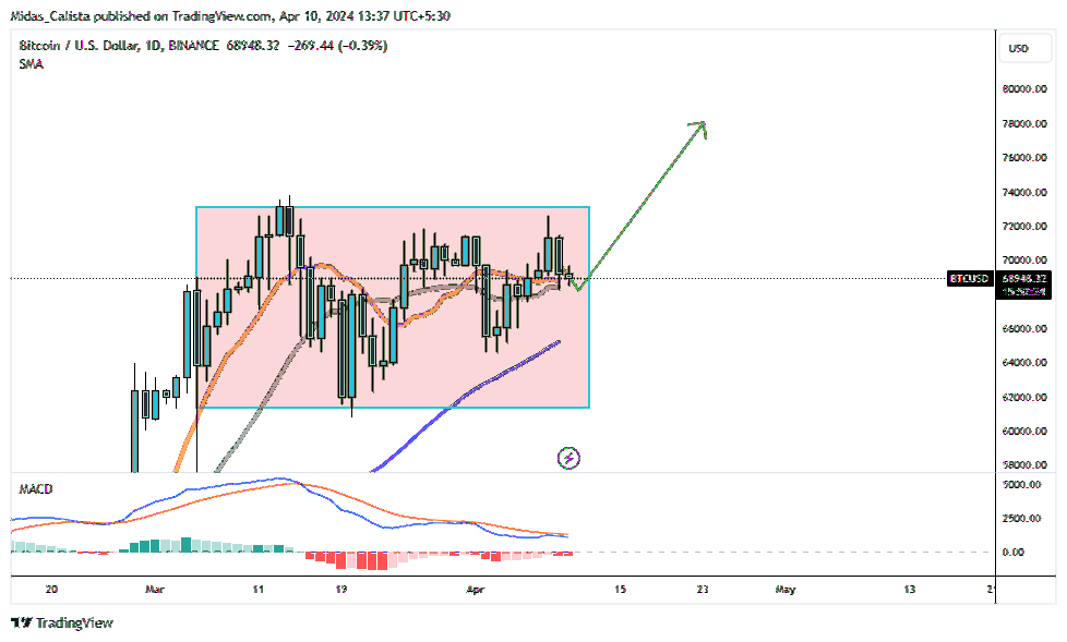 Immagine del grafico BINANCE:BTCUSD di Midas_Calista