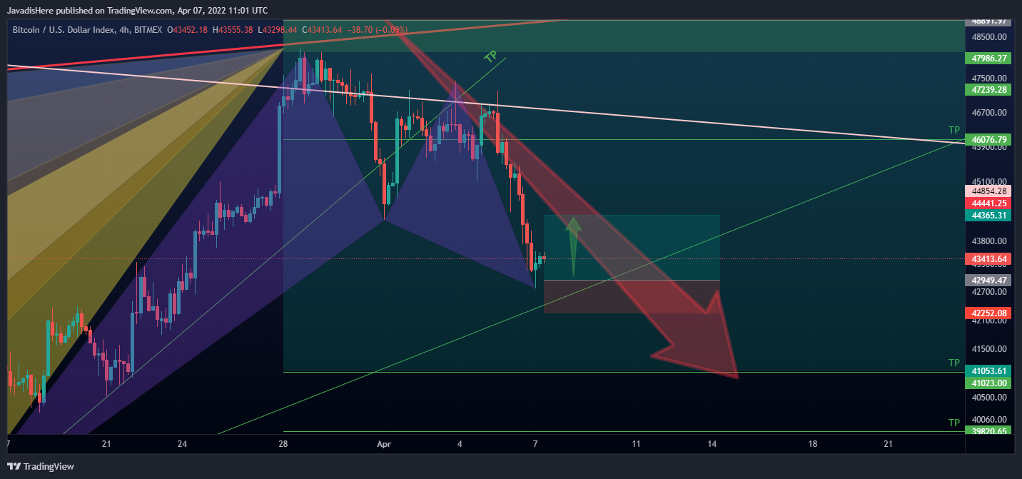 Immagine del grafico BITMEX:XBT di JavadisHere