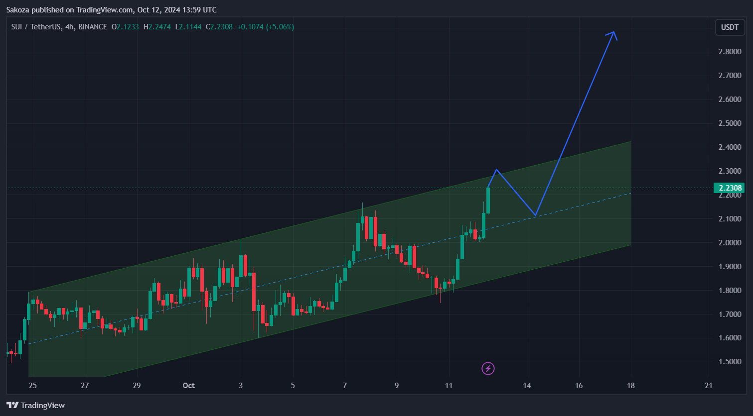 BINANCE:SUIUSDT圖表圖片，作者：Sakoza