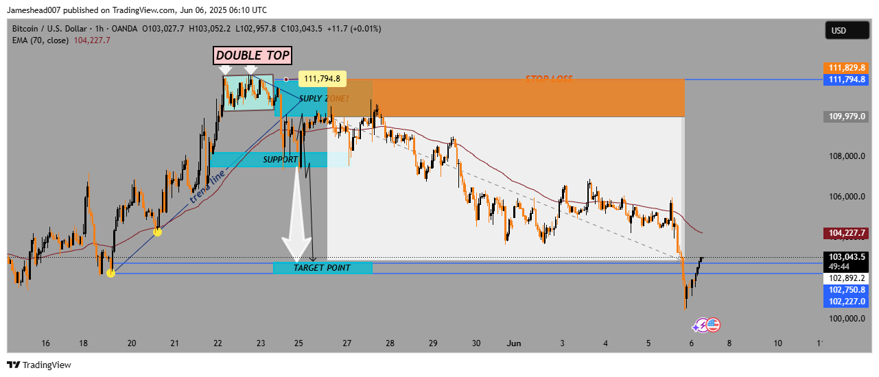 Immagine del grafico OANDA:BTCUSD di Jameshead007