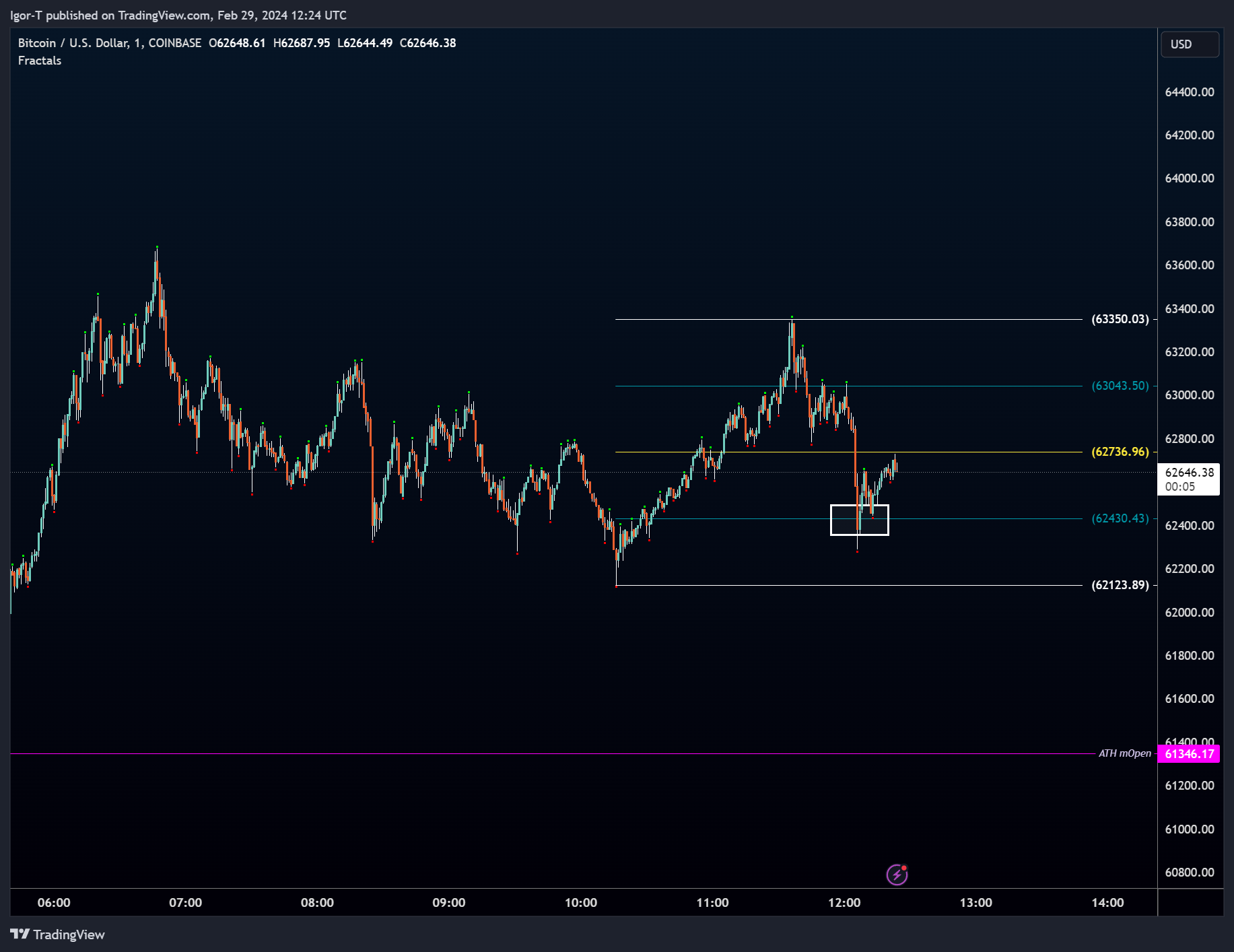 COINBASE:BTCUSD Chart Image by Igor-T — TradingView