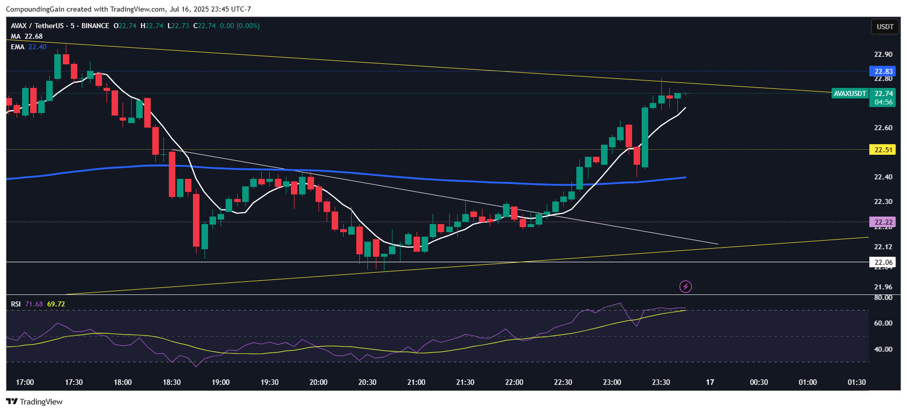 Imej Carta BINANCE:AVAXUSDT oleh CompoundingGain