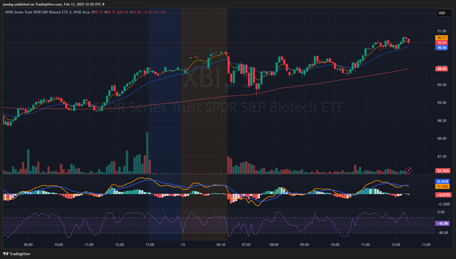Imej Carta AMEX:XBI oleh jaxdog