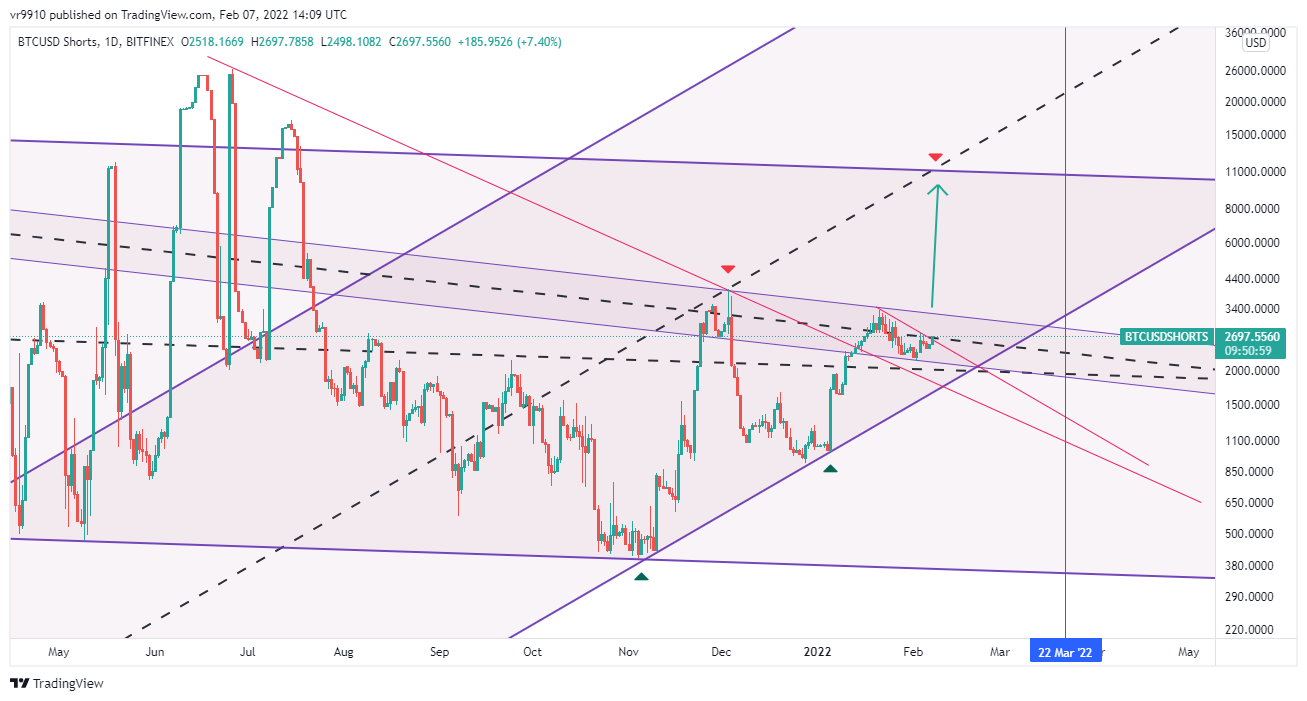 BITFINEX:BTCUSDSHORTS Chart Image by vr9910