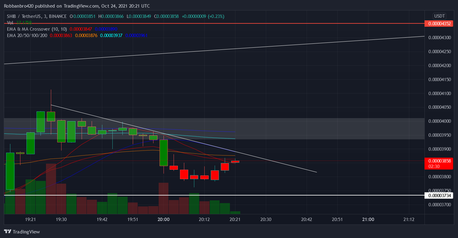 Immagine del grafico BINANCE:SHIBUSDT di Robbanbro420