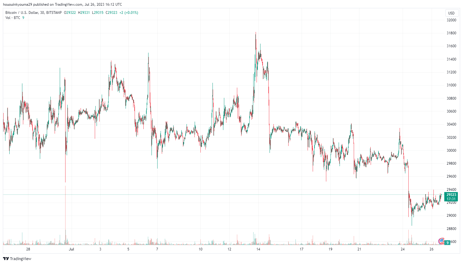 Immagine del grafico BITSTAMP:BTCUSD di hououinkyouma29