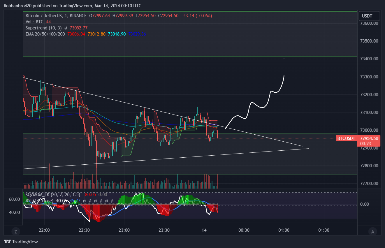 Immagine del grafico BINANCE:BTCUSDT di Robbanbro420