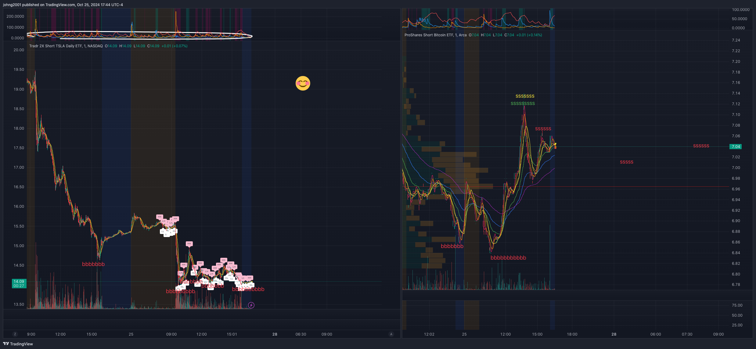 BATS:TSLQ Chart Image by johng2001