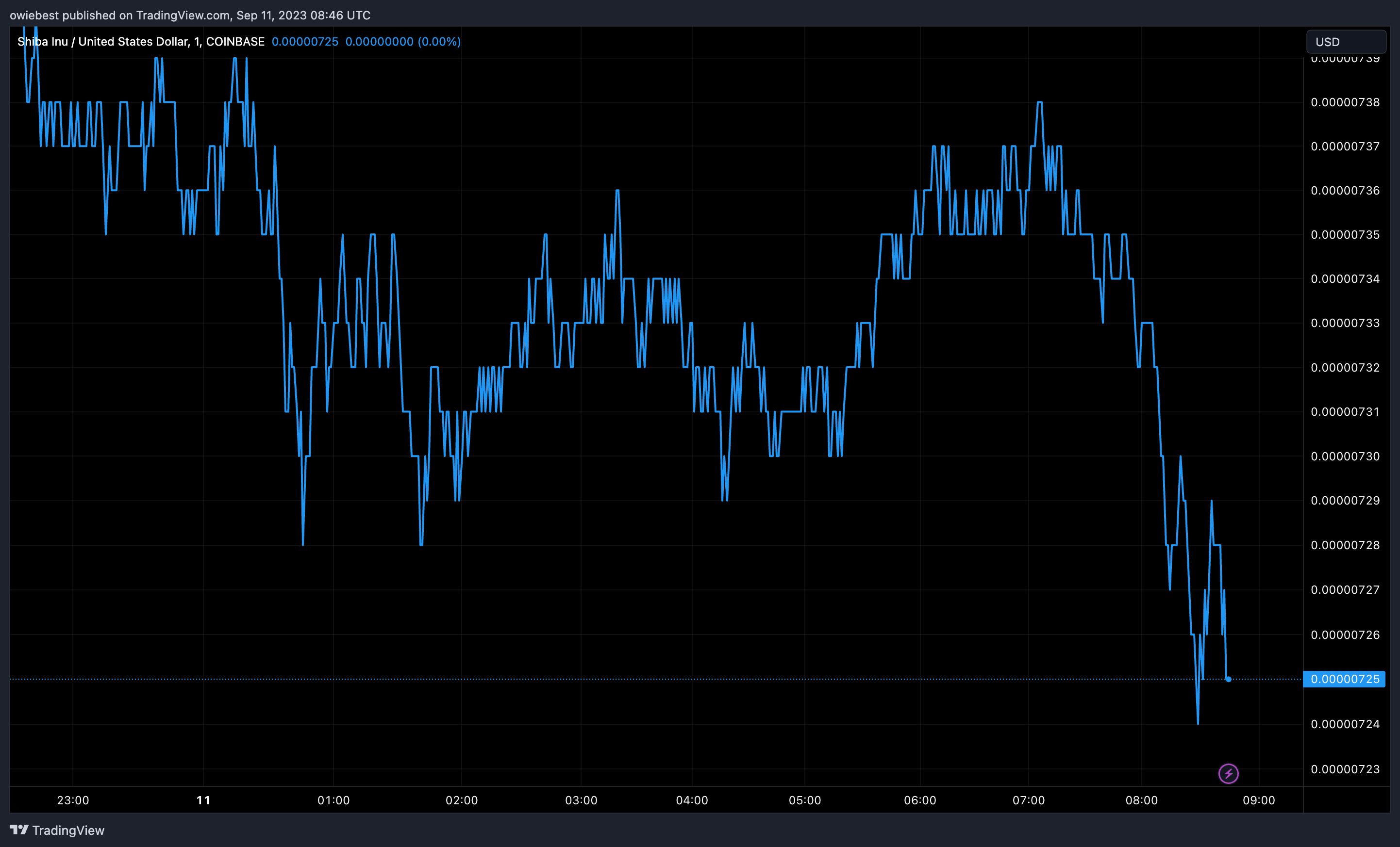 Immagine del grafico COINBASE:SHIBUSD di owiebest