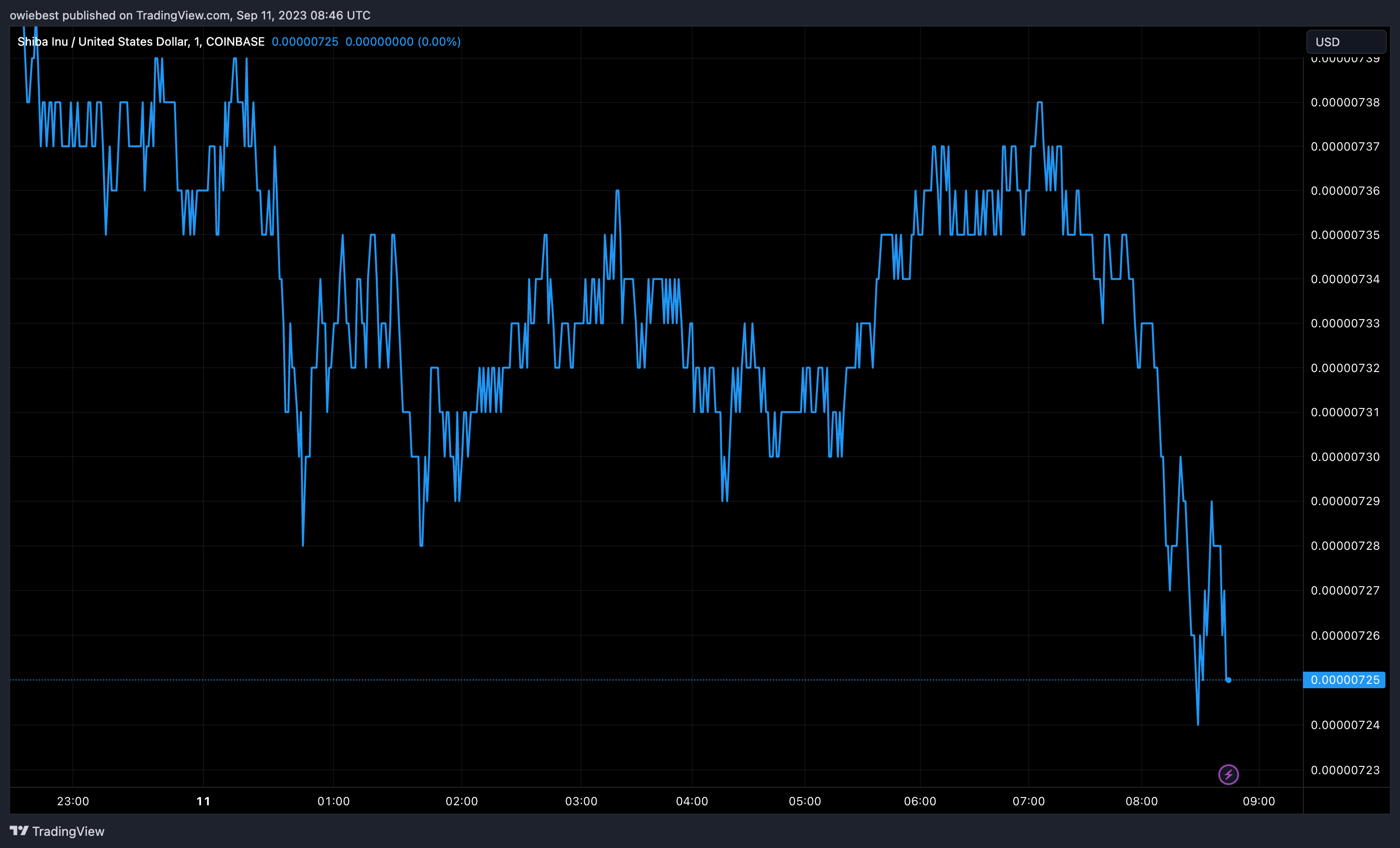 COINBASE:SHIBUSD Chart Image by owiebest