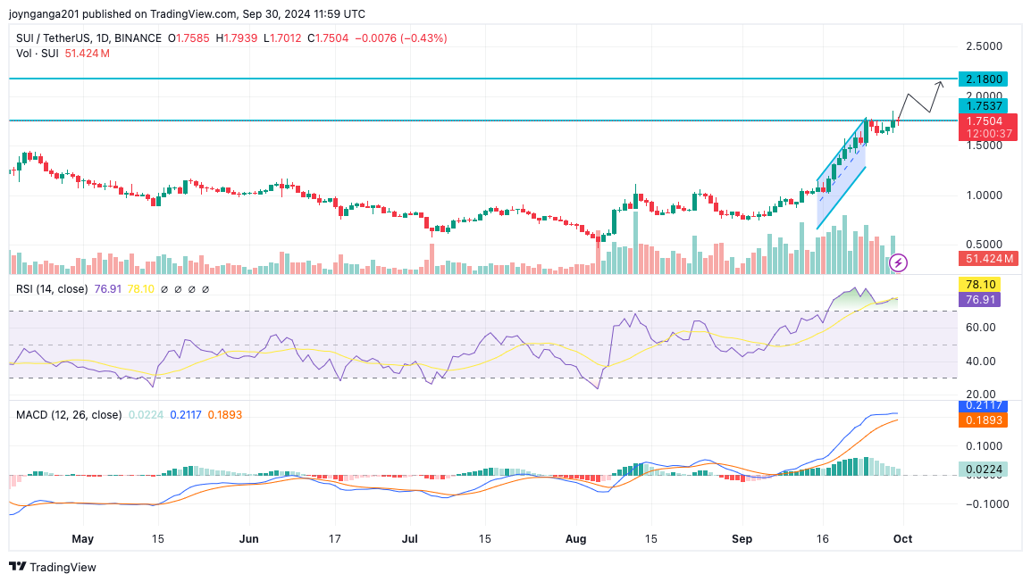 BINANCE:SUIUSDT Chart Image by joynganga201