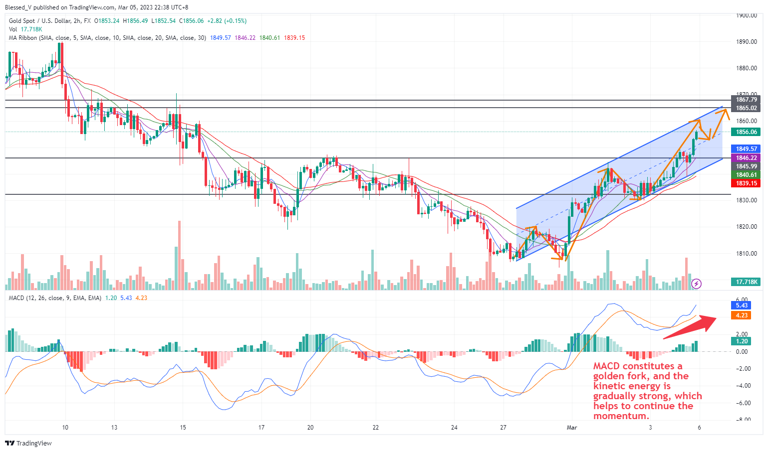 Imej Carta FX:XAUUSD oleh Blessed_V