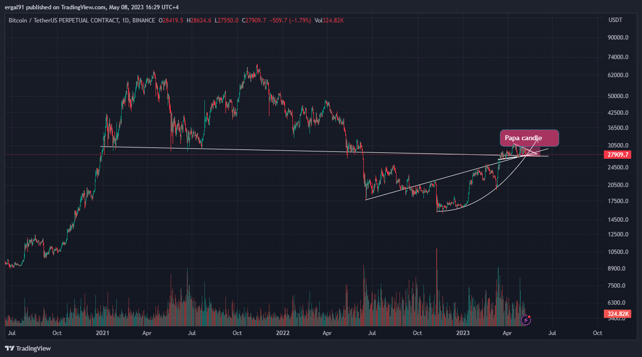 BINANCE:BTCUSDT.P Chart Image by ergal91