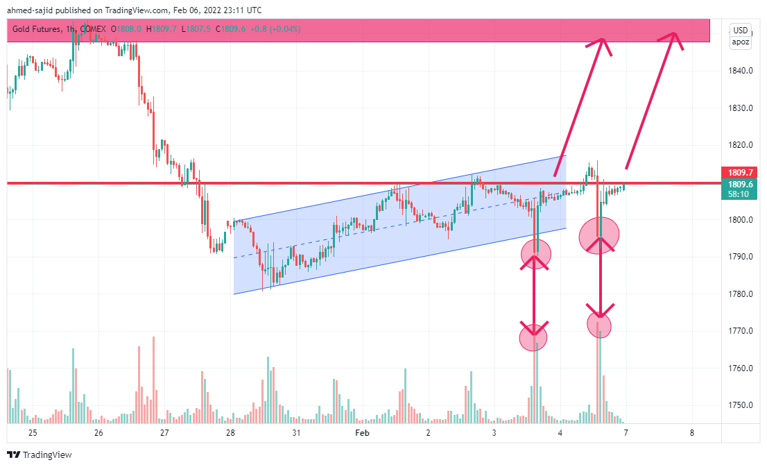 Immagine del grafico COMEX:GC1! di ahmed-sajid