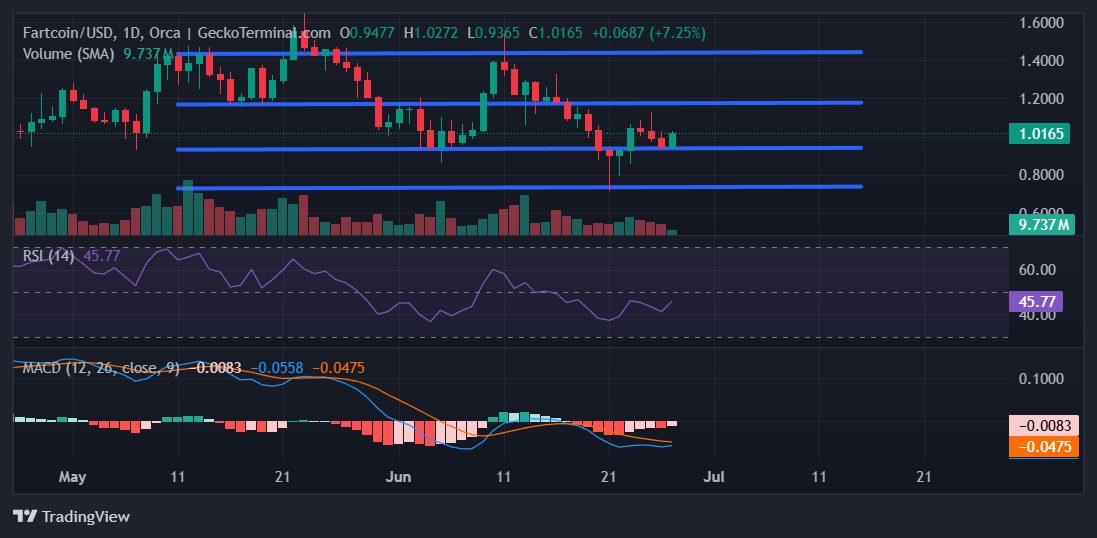 FARTCOIN Chart Image