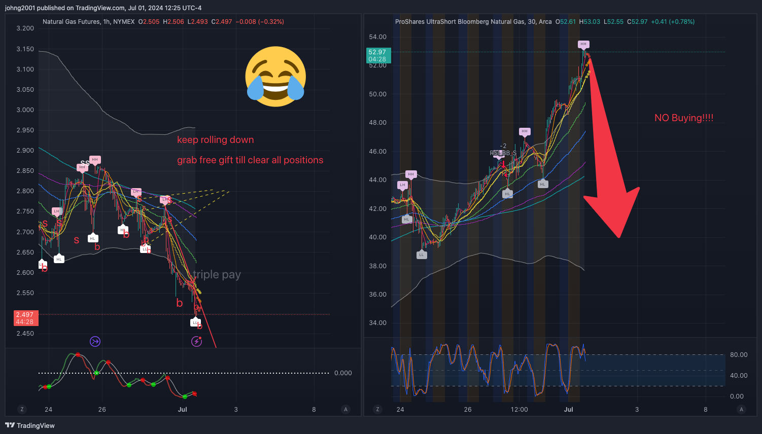 NYMEX_DL:NG1! Chart Image by johng2001