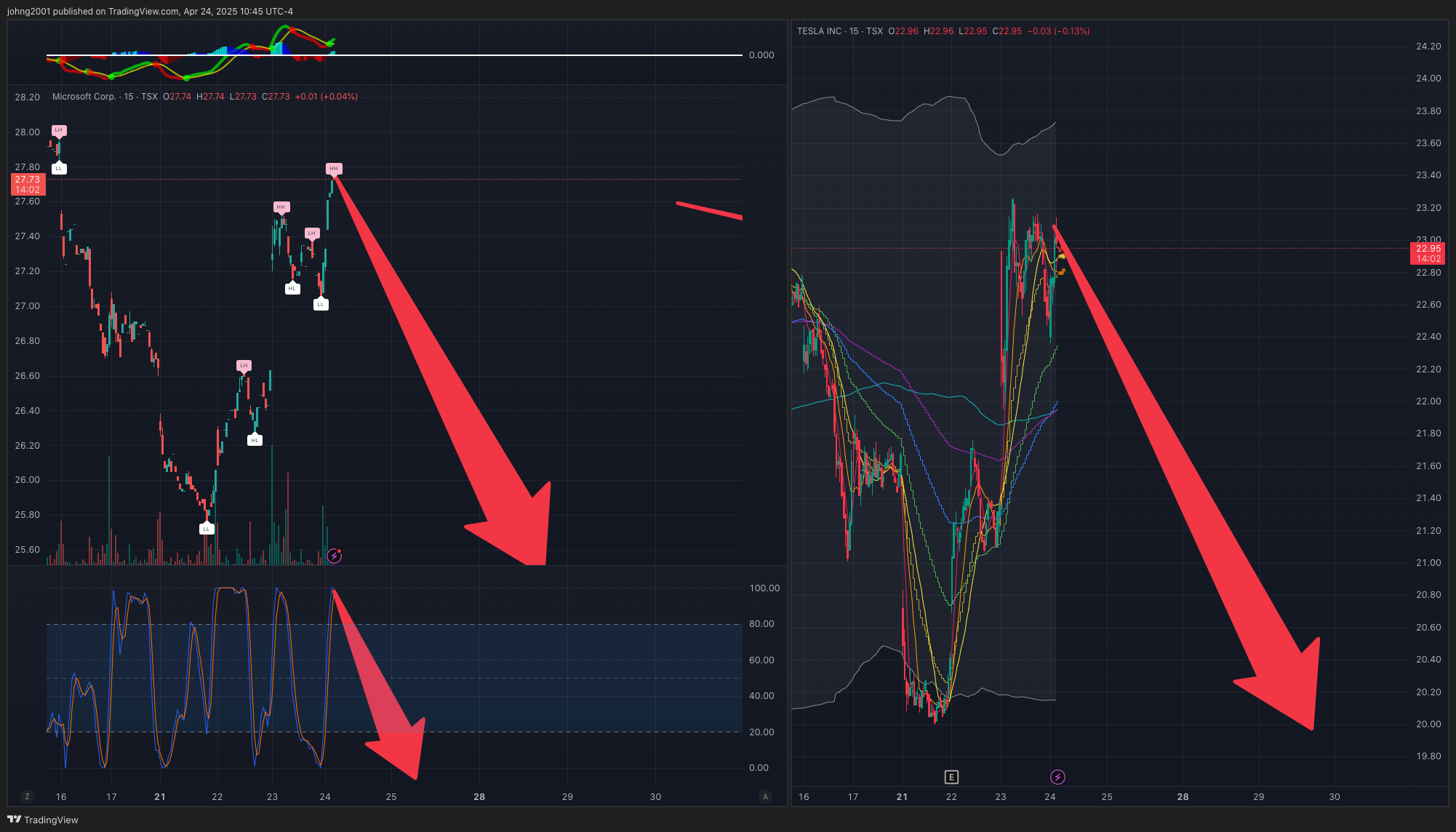 TSX_DLY:TSLA Chart Image by johng2001