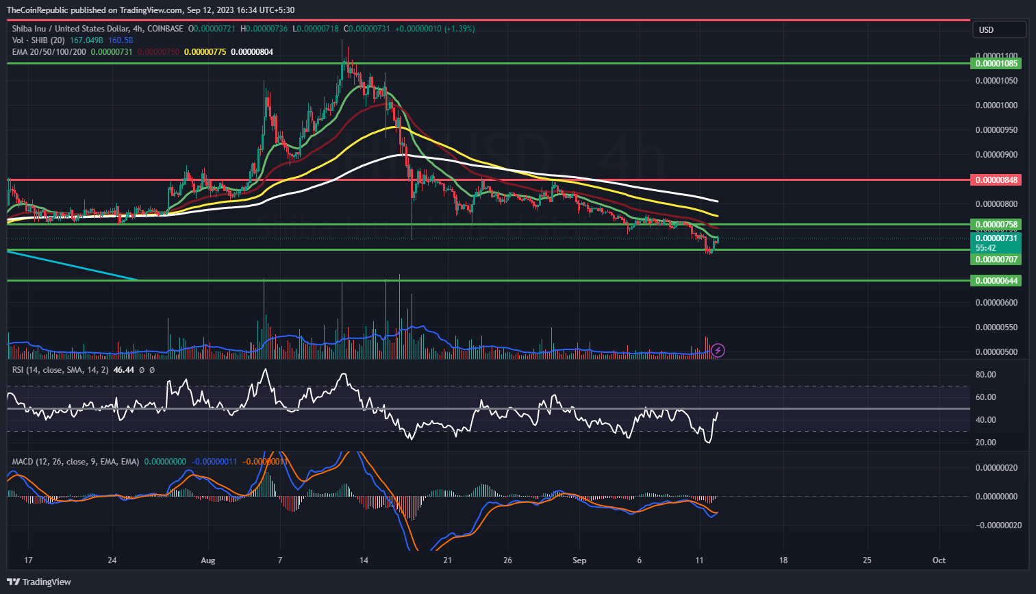 Immagine del grafico COINBASE:SHIBUSD di TheCoinRepublic