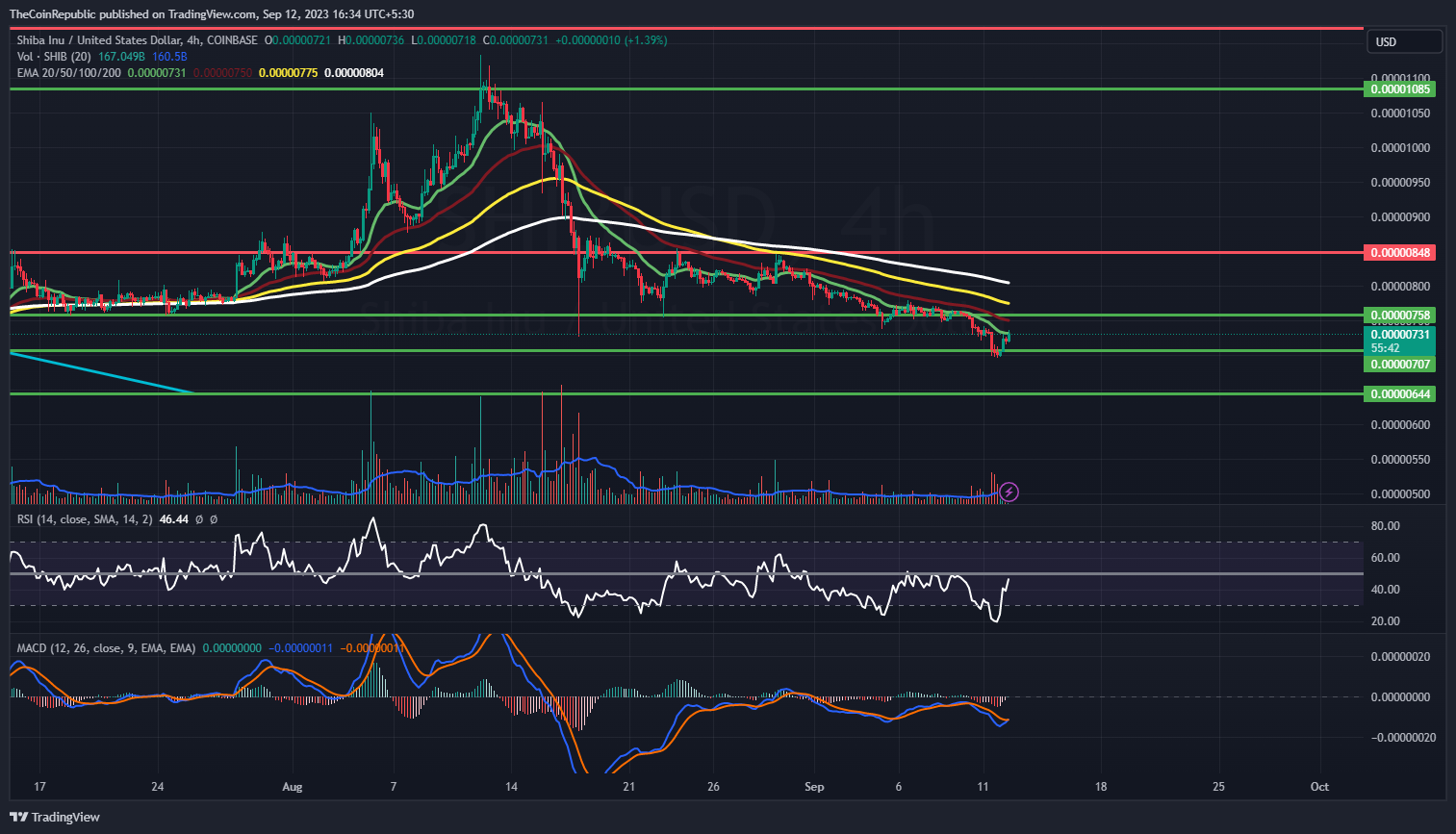 COINBASE:SHIBUSD Chart Image by TheCoinRepublic