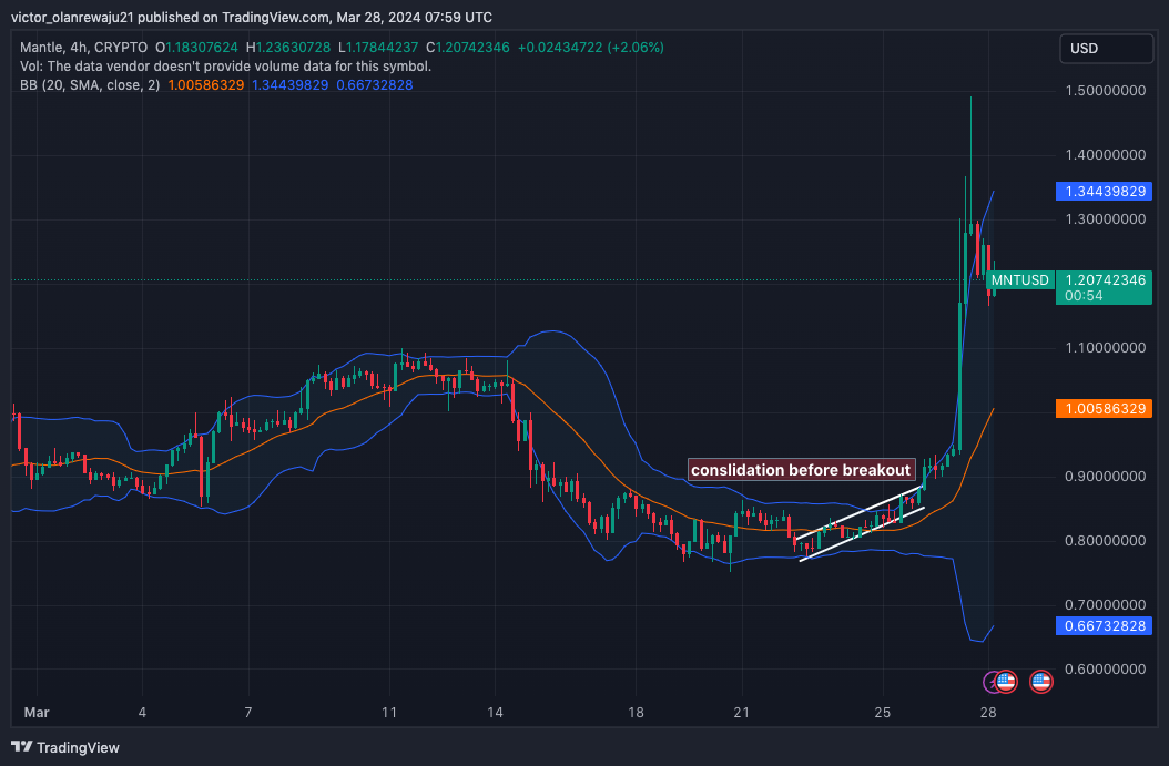 Immagine del grafico CRYPTO:MNTUSD di victor_olanrewaju21