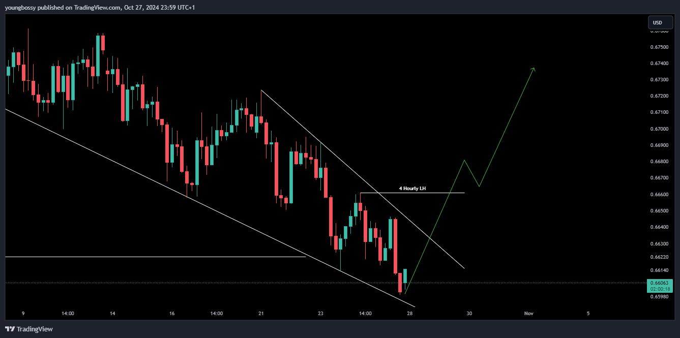 Immagine del grafico FX:AUDUSD di youngbossy