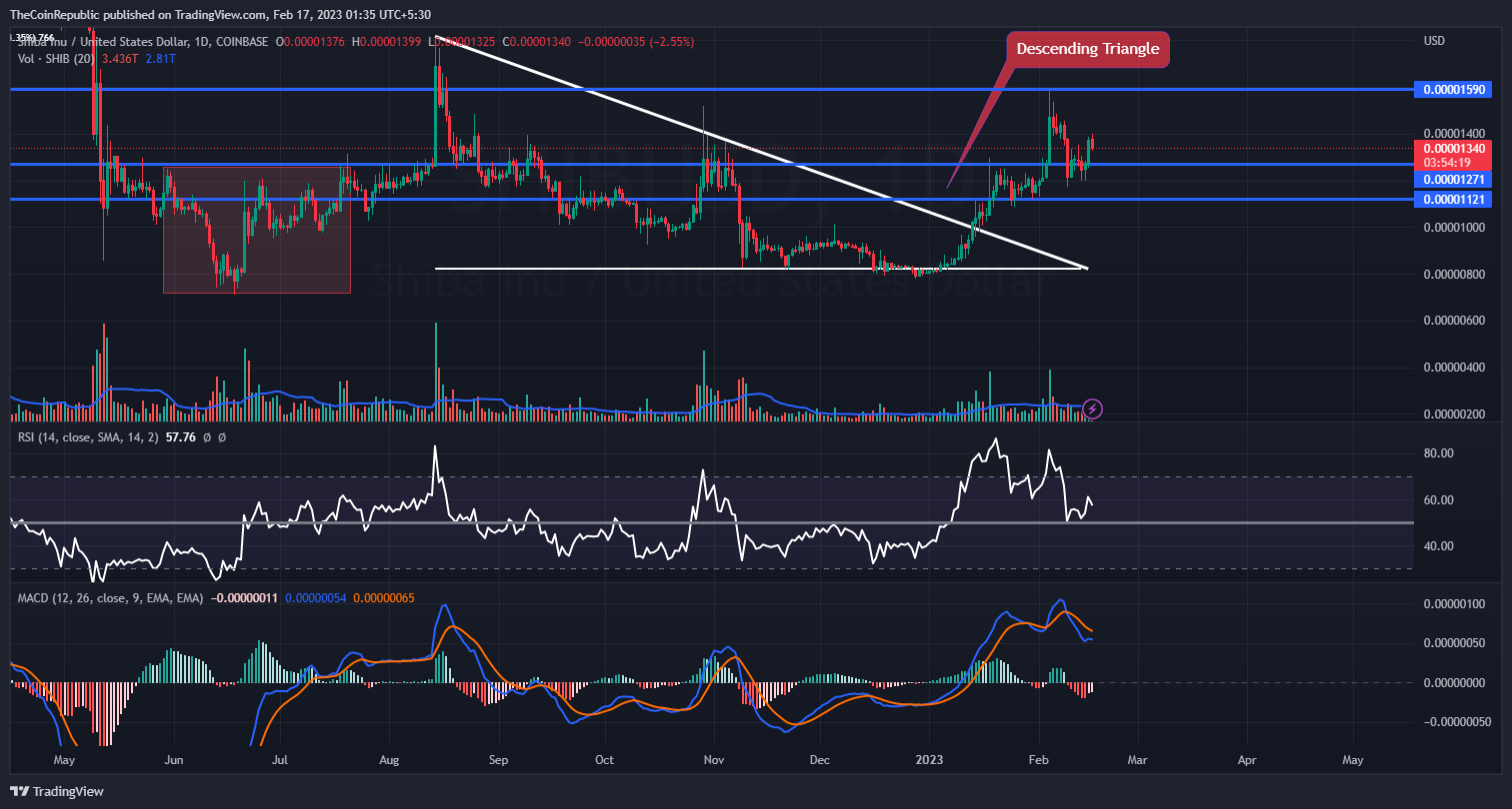 COINBASE:SHIBUSD圖表圖片，作者：TheCoinRepublic