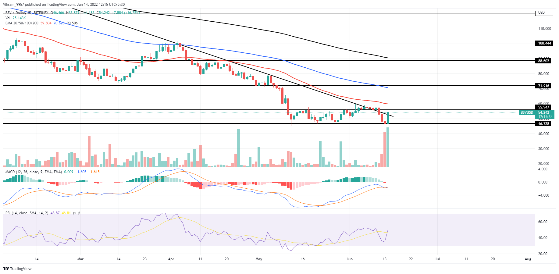 BITFINEX:BSVUSD Chart Image by Vikram_9957