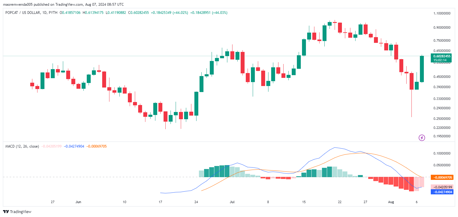PYTH:POPCATUSD Chart Image by maoremwenda005