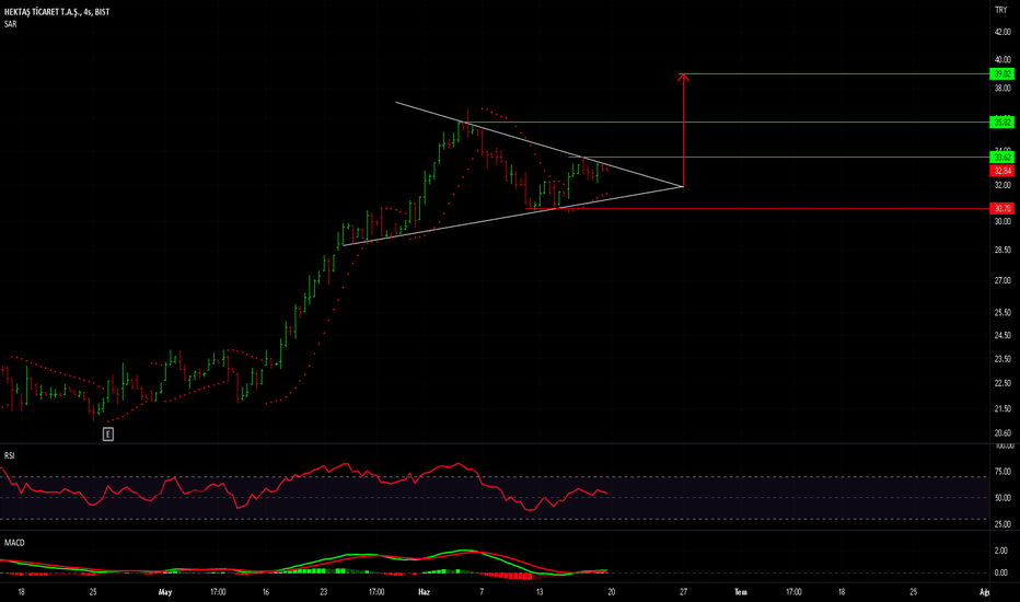 HEKTS analiz - HEKTAS
