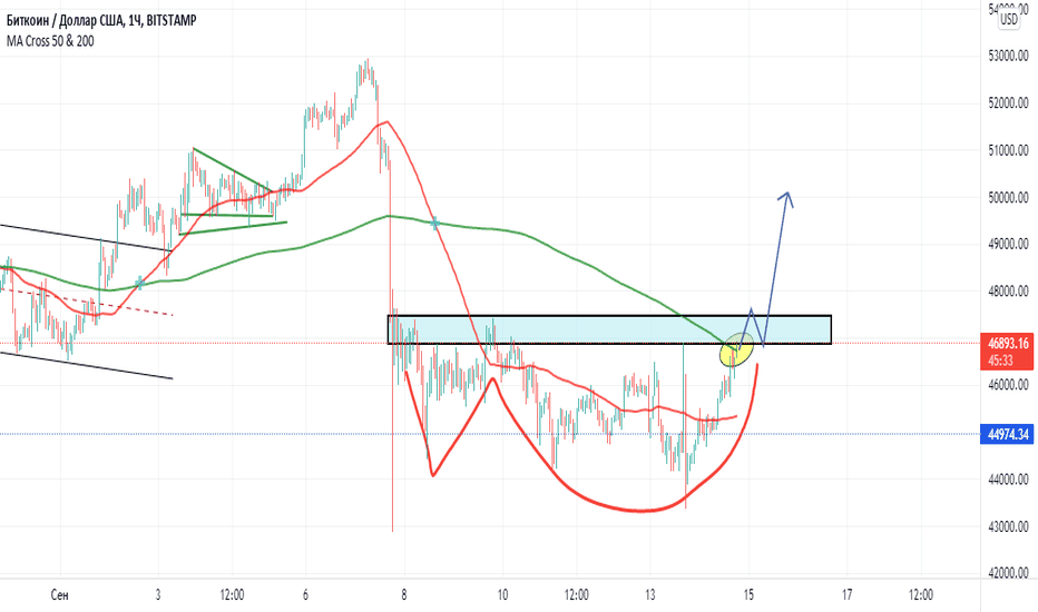 tradingvisualizza bittrex btc usd