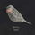 sparrowflyer