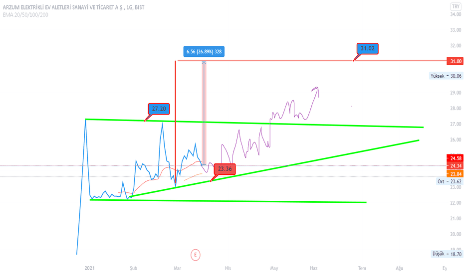 ARZUM YTD