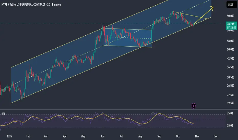 TradingView Disclaimer