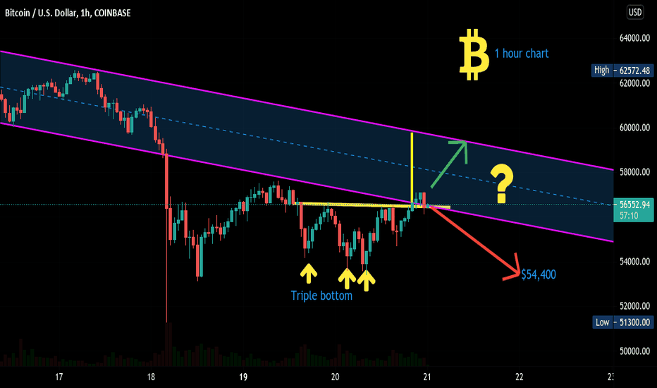 Fundamental signals telegram